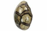 Bargain, Septarian Dragon Egg Geode - Black Crystals #123015-2